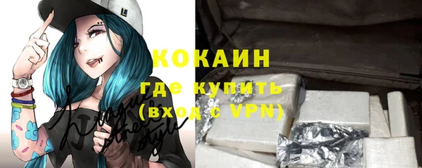 амф Ладушкин