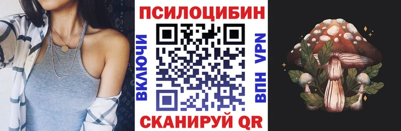 Псилоцибиновые грибы GOLDEN TEACHER  Купить  Новозыбков 