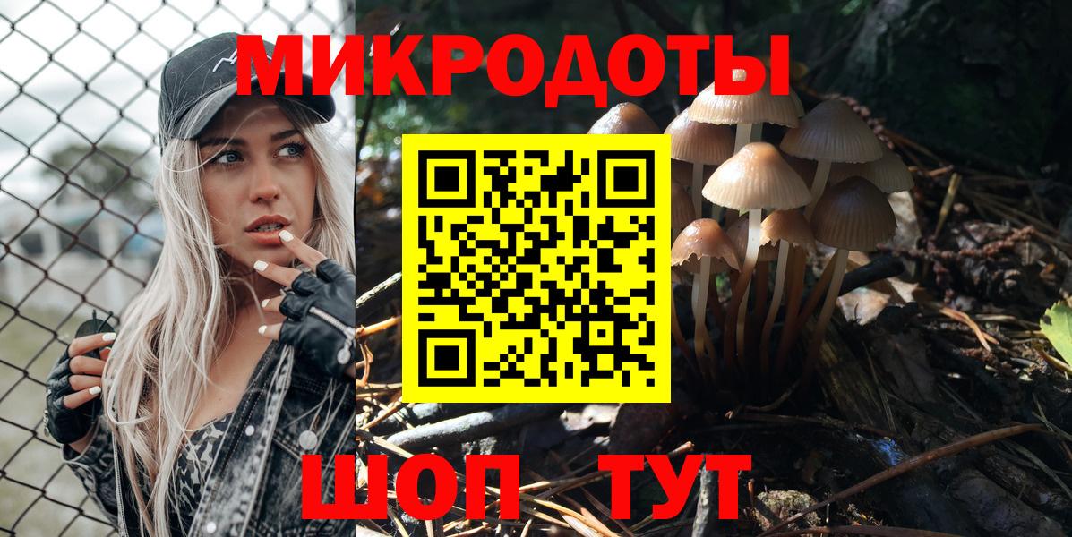 Новозыбков  Галлюциногенные грибы MAGIC MUSHROOMS  Вход с VPN  Псилоцибиновые грибы Psilocybine cubensis 