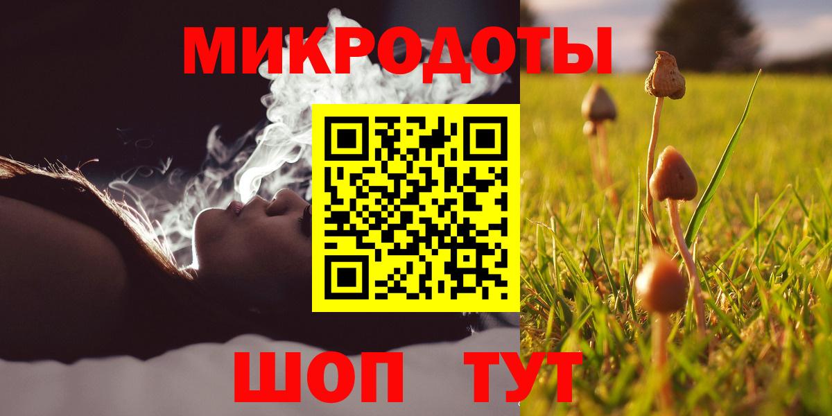 Галлюциногенные грибы мухоморы  Новозыбков 