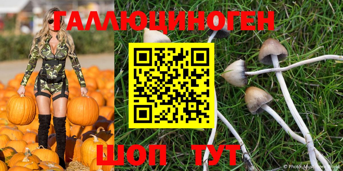 Галлюциногенные грибы Magic Shrooms Новозыбков